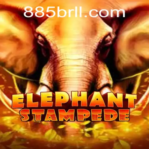 Dive into the Adventure with ElephantStampede
